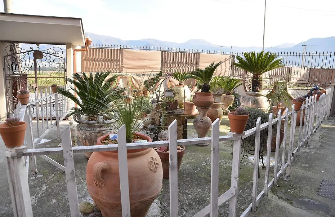 B&B Le Cycas-1